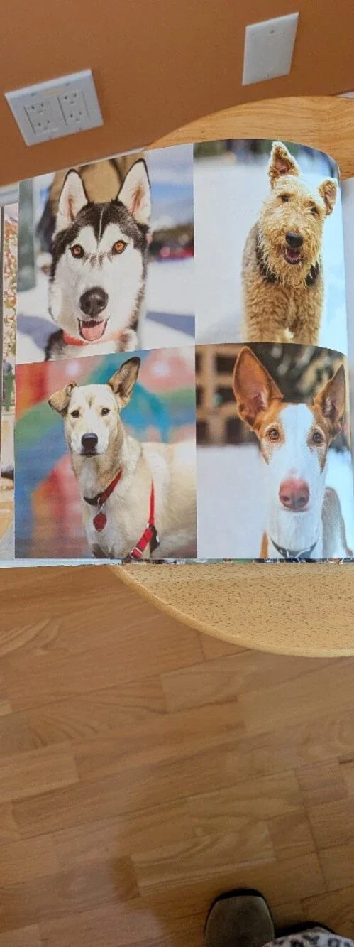 DOGIST Coffee Table Book - Brown Cover